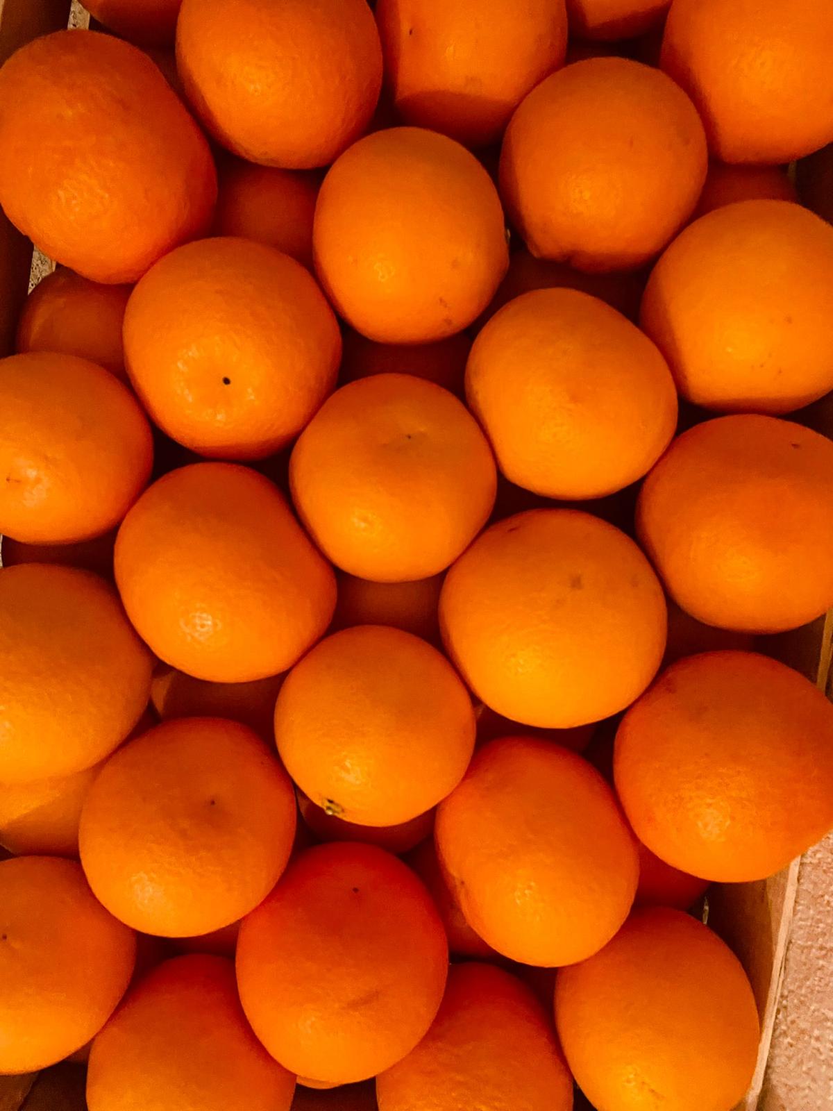 Orangen in Kiste